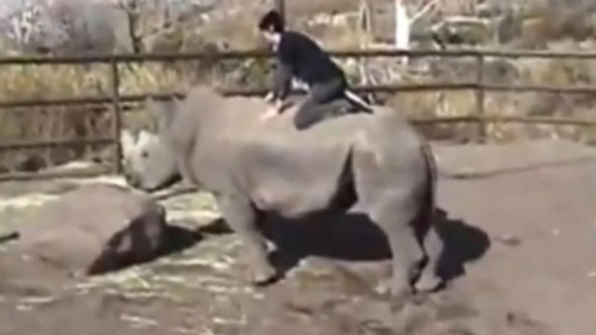 VIDEO: Un tânăr a călărit un rinocer