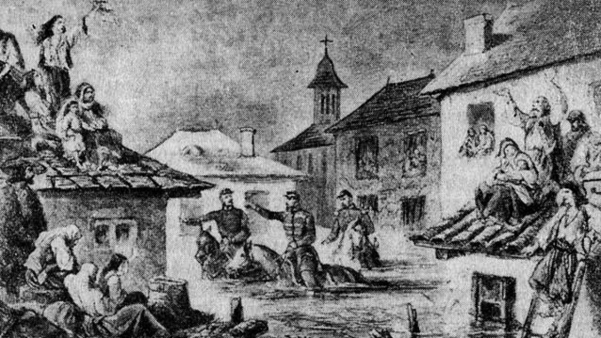 Bucureşti, monstrul cu un singur rinichi