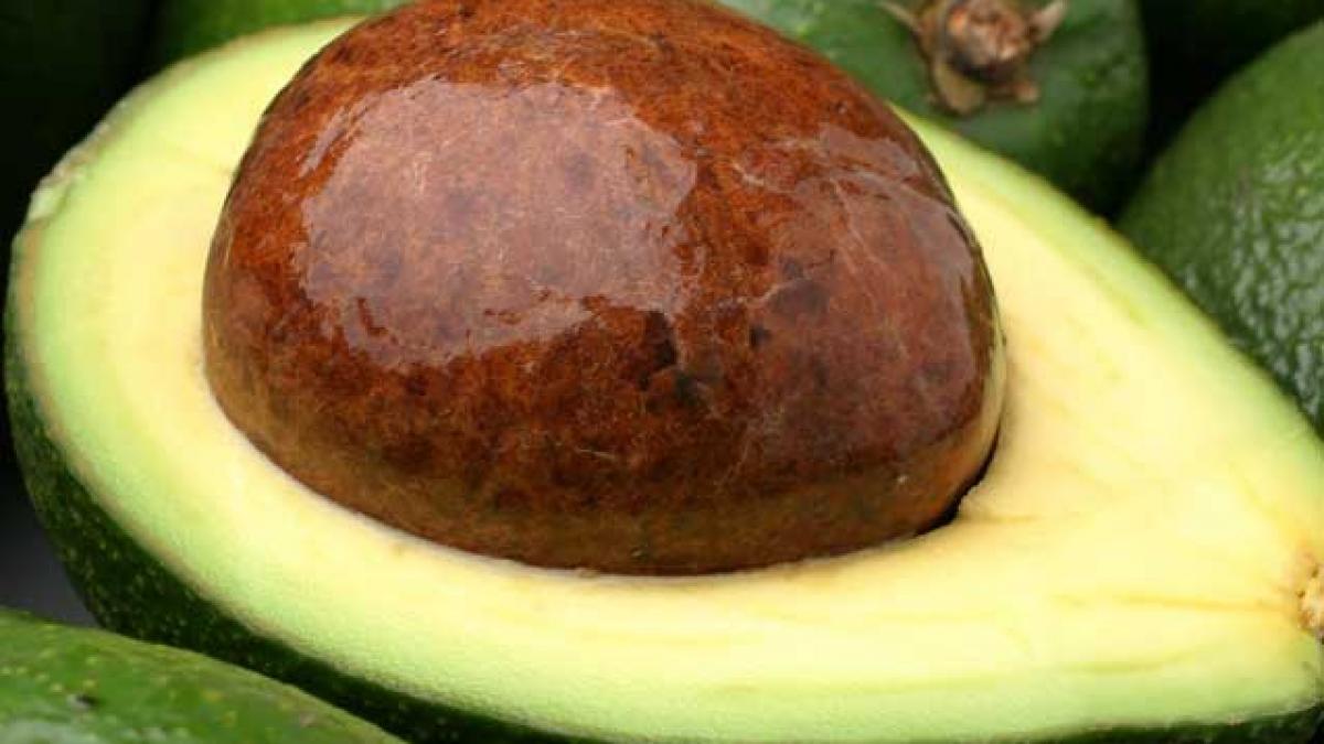 Avocado previne cancerul de colon şi bolile de inimă