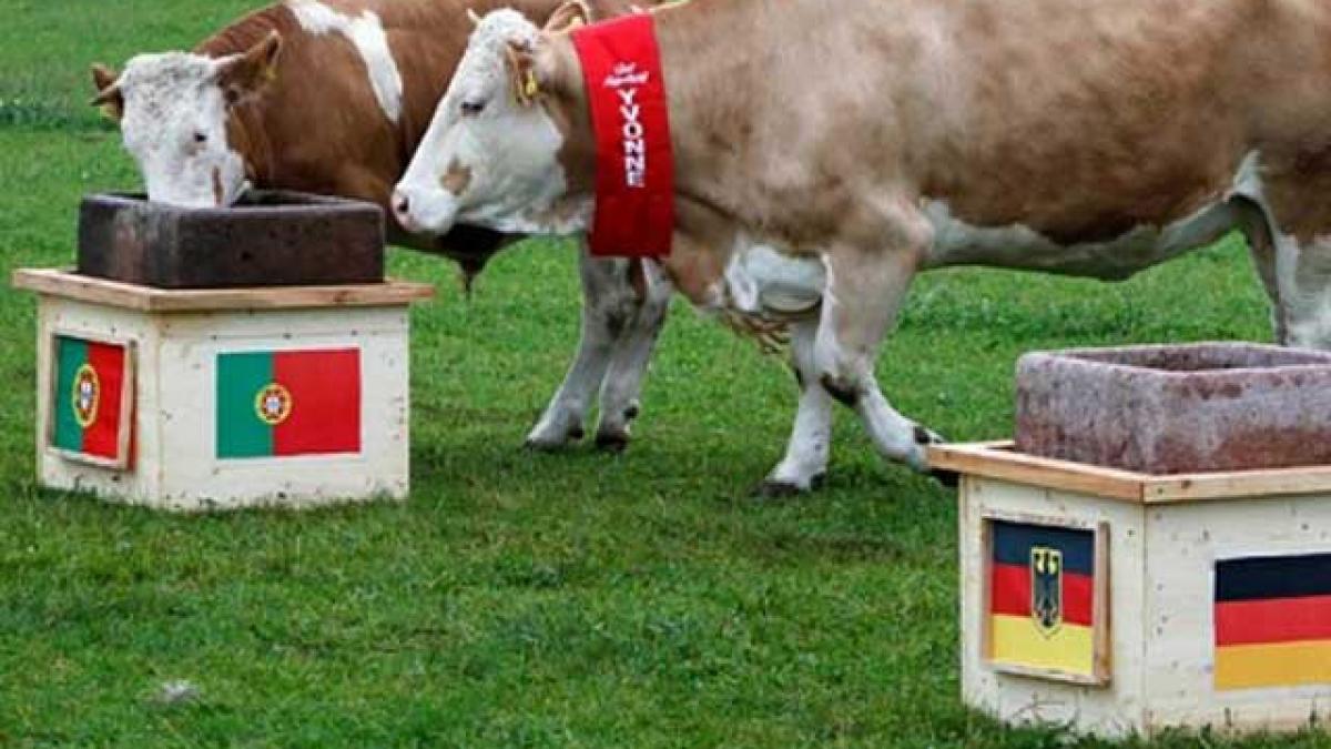 Vaca Yvonne face predicţii pentru meciurile Germaniei