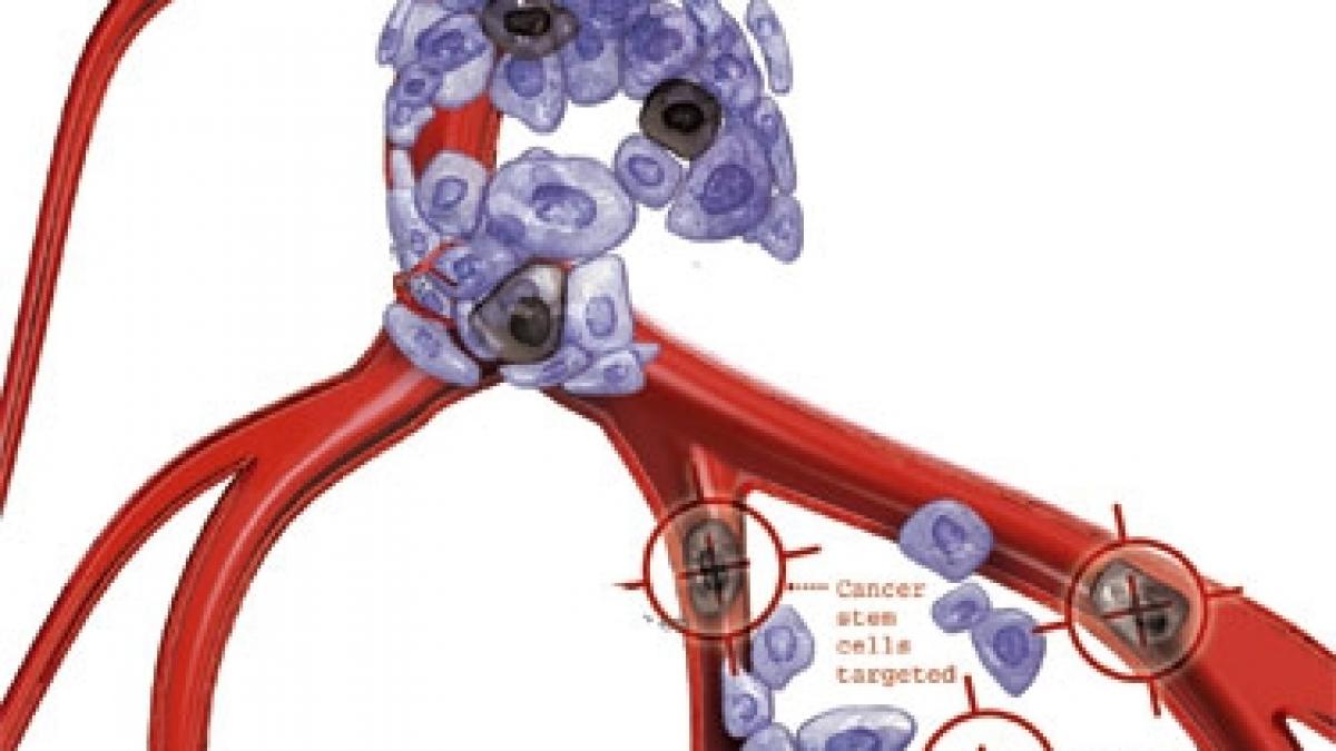 Descoperire IMPORTANTA in lupta impotriva CANCERULUI