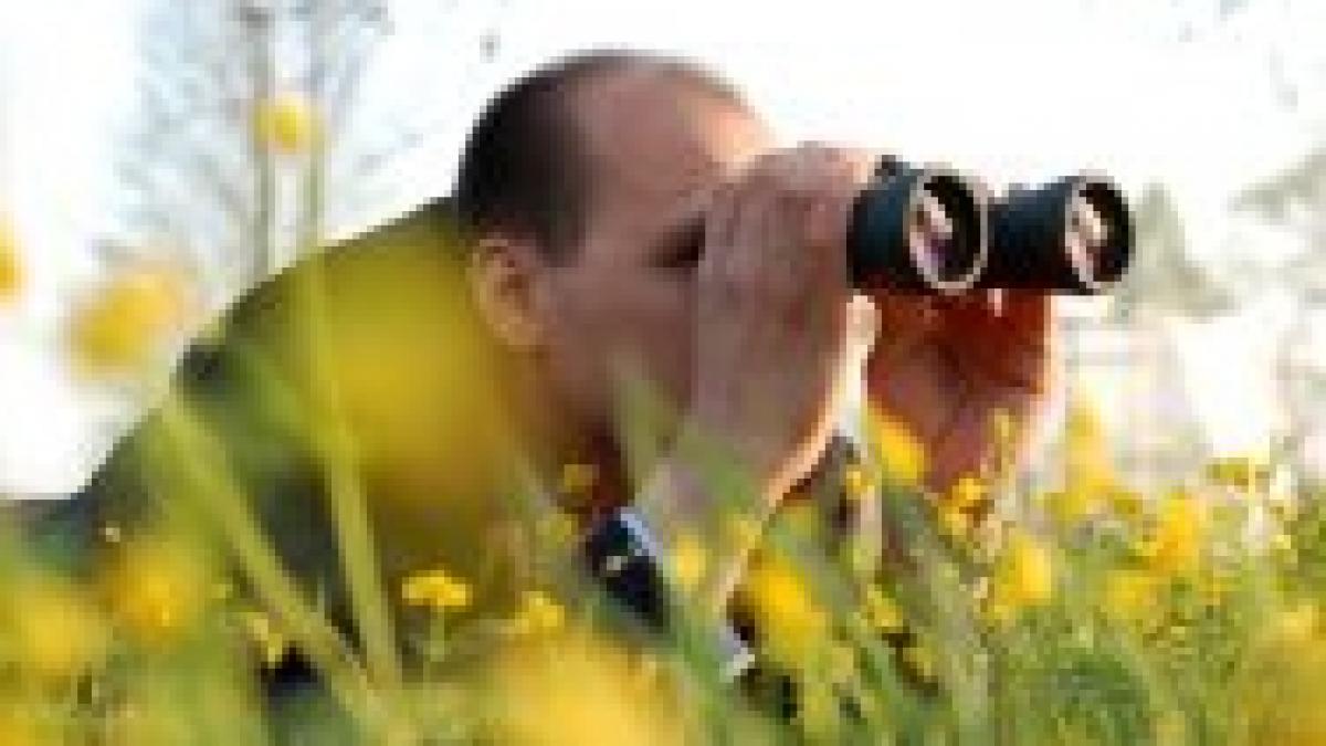 Detectiv de România sau cum să filezi profilul