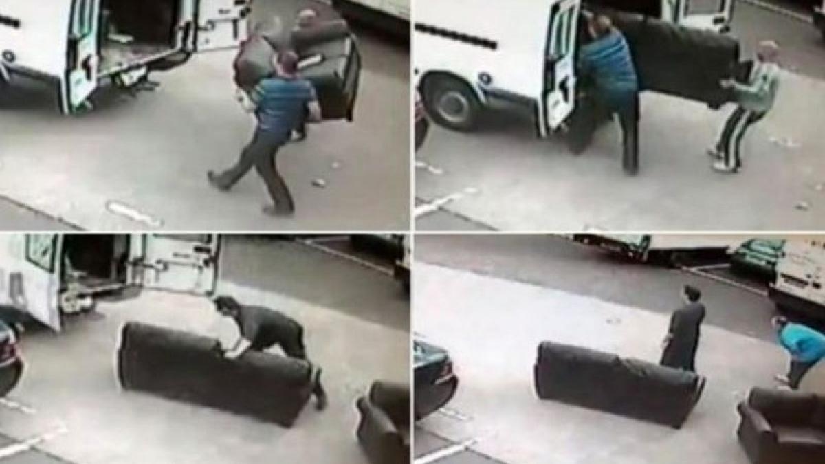 jaf filme prosti canapele hoti furgoneta video