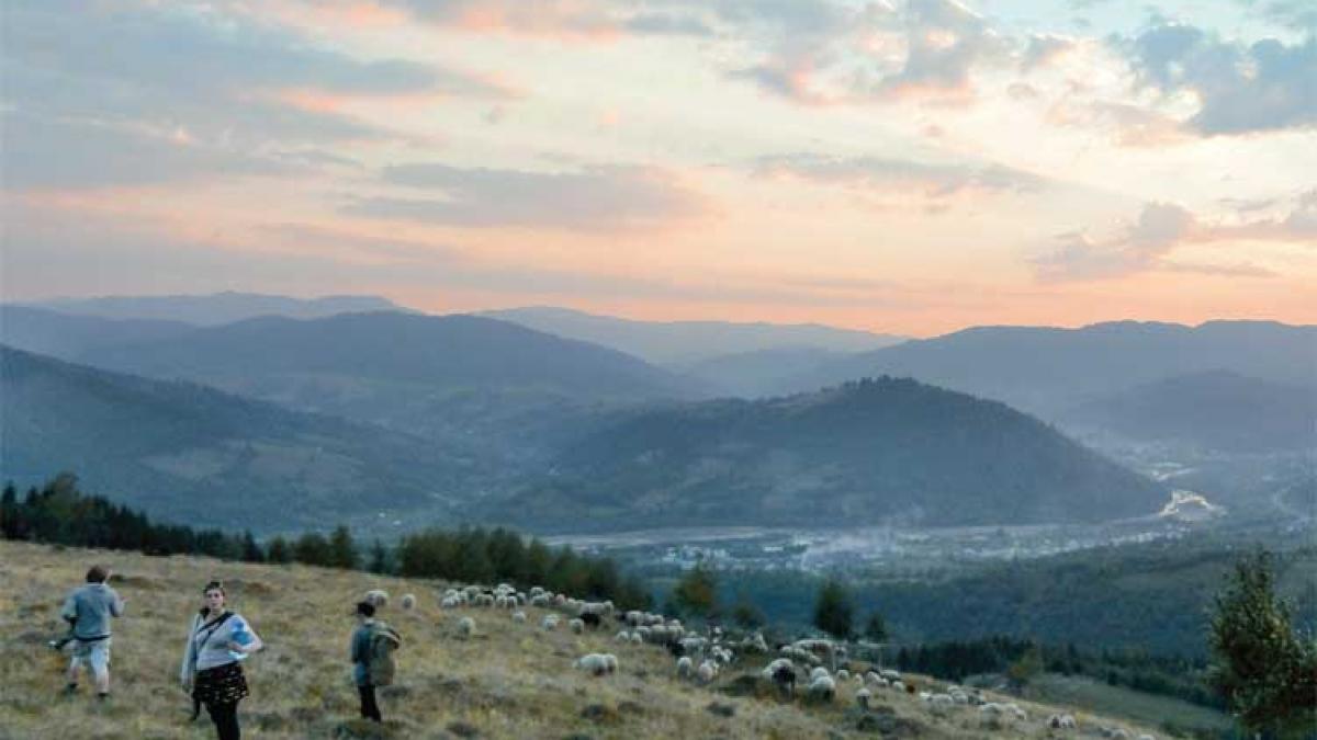 Atelier de film documentar. Cu Aristotel prin Bucovina