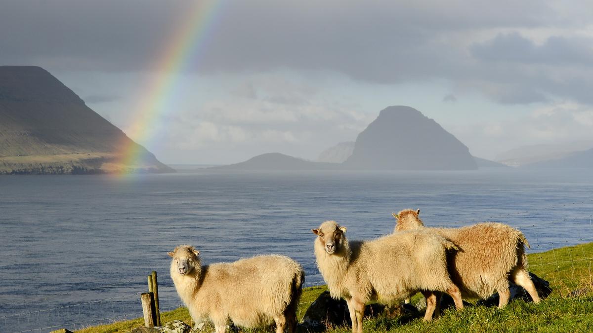 GALERIE FOTO. Toamna pe mapamond
