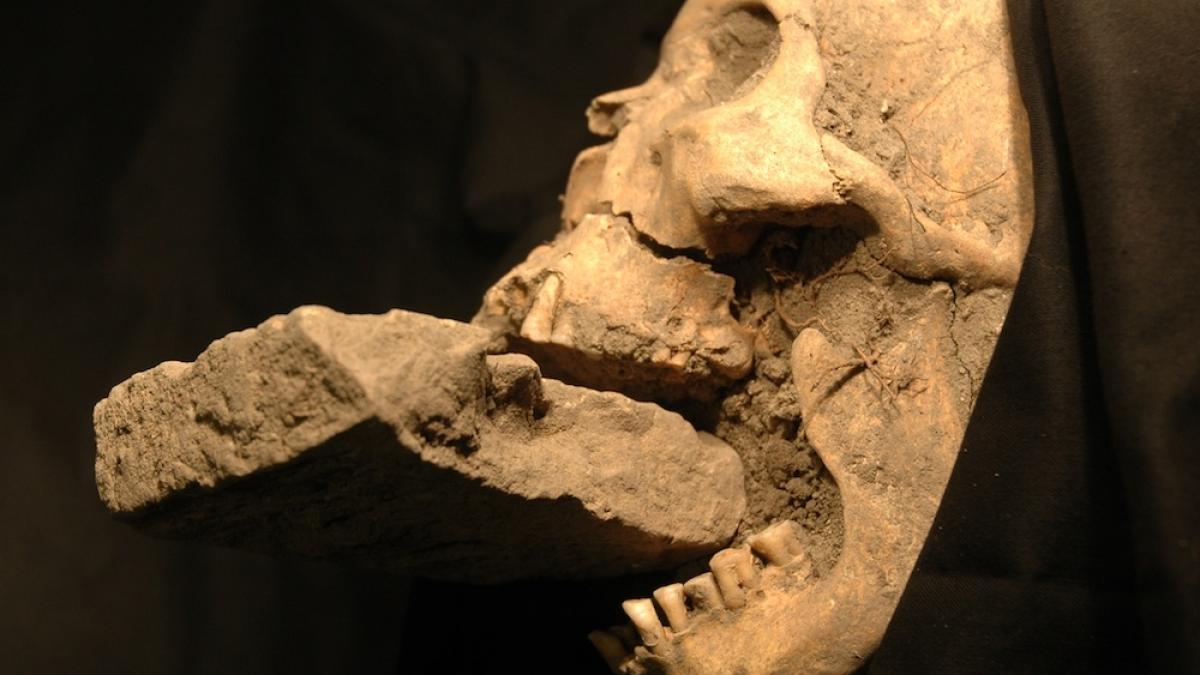  O radiografie de Halloween: Vampirii – analizați ȘTIINȚIFIC!