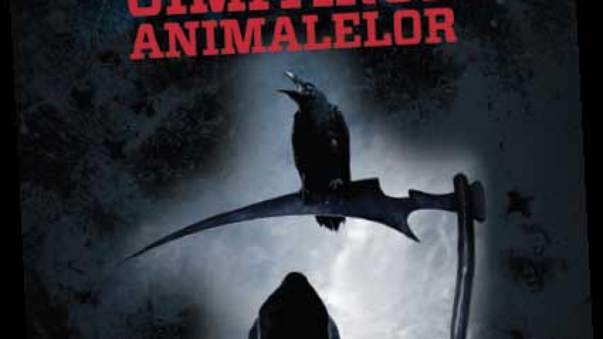 Un nou Stephen King!