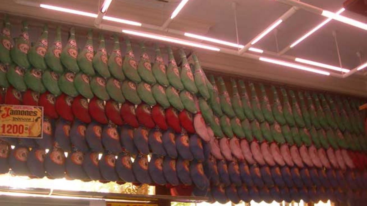 Museo del Jamon