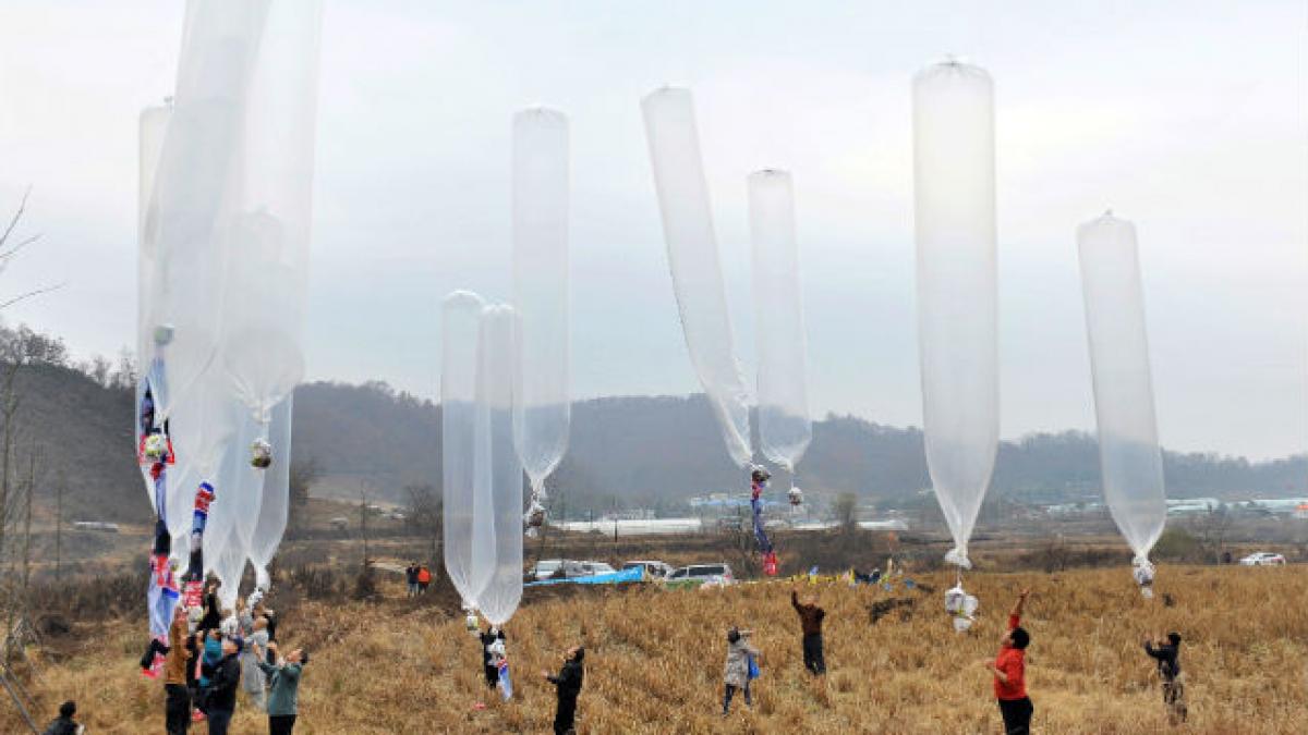 Governor Injustice forest Baloane cu prezervative și dulciuri, trimise peste granița dintre Coreea de  Sud și Coreea de Nord