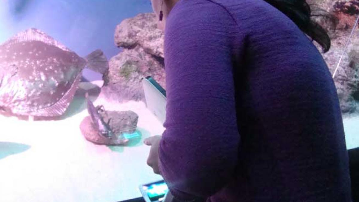 Cu Smartphone-ul la muzeu