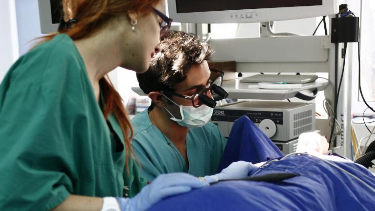 Cum pot câştiga medicii români 3.000 de dolari pe lună, în Israel