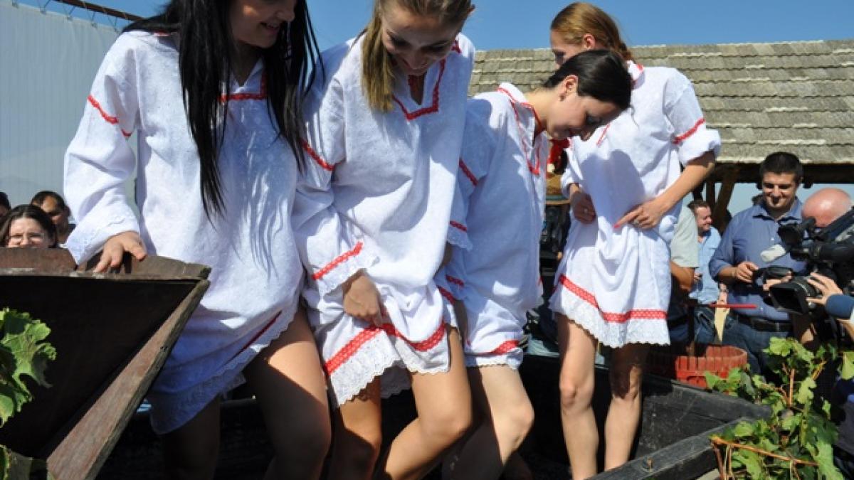 Din Bordeaux în Dobrogea. Un tânăr vinificator francez învaţă “tainele meseriei” la Aliman