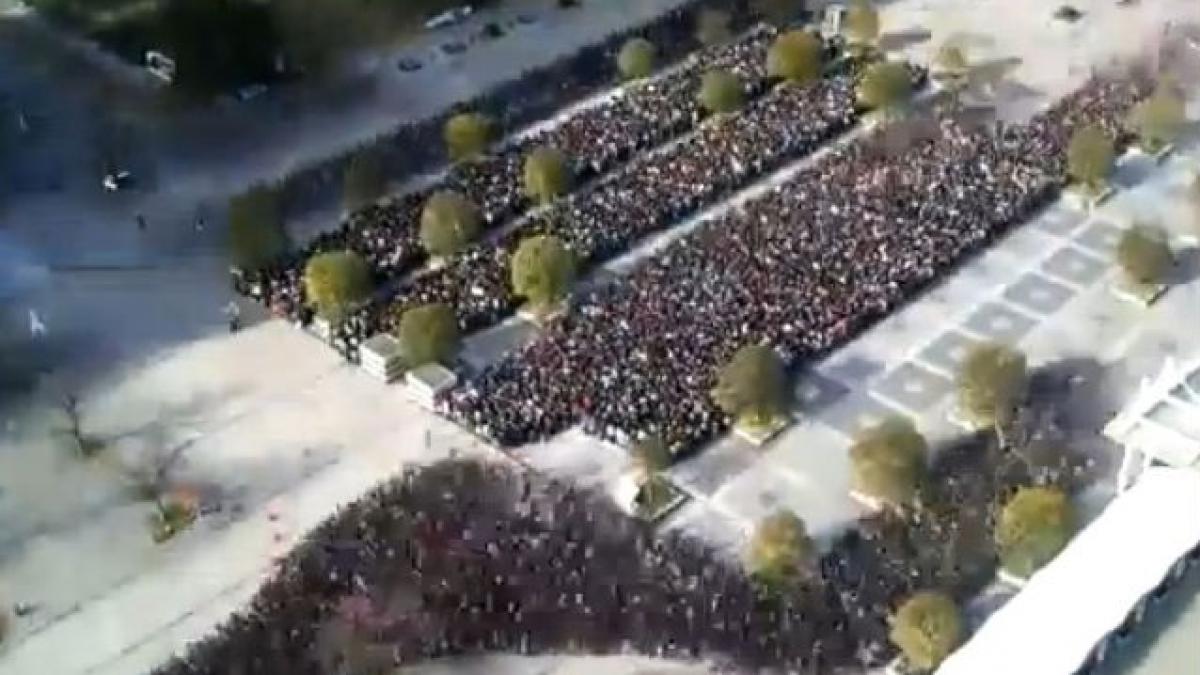 video black friday doua modalitati de a sta la coada varianta americana varianta japoneza