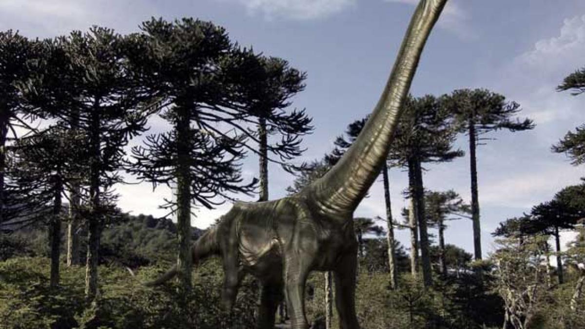 dinozaurii disparusera deja cand meteoritul a lovit terra cum au disparut de fapt gigantii