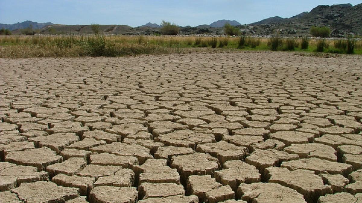 Sfârșitul lumii așa cum o știm. Raportul OFICIAL al serviciilor secrete americane despre anul 2030. JUMĂTATE din populația lumii va suferi de sete