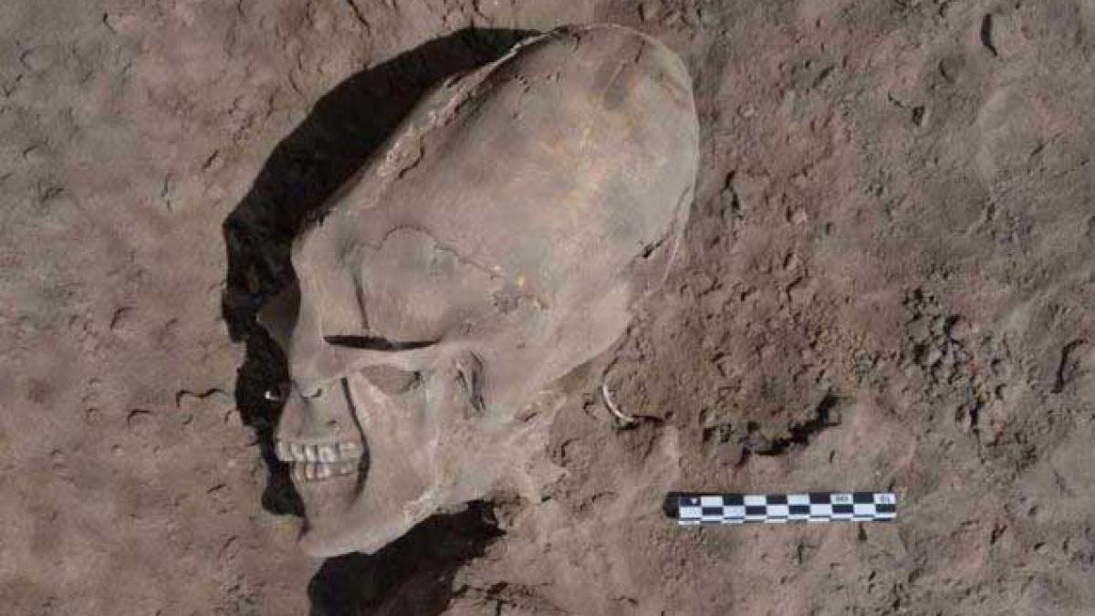 video descoperire uluitoare in mexic 13 scheleti cu cranii alungite ca de extraterestru