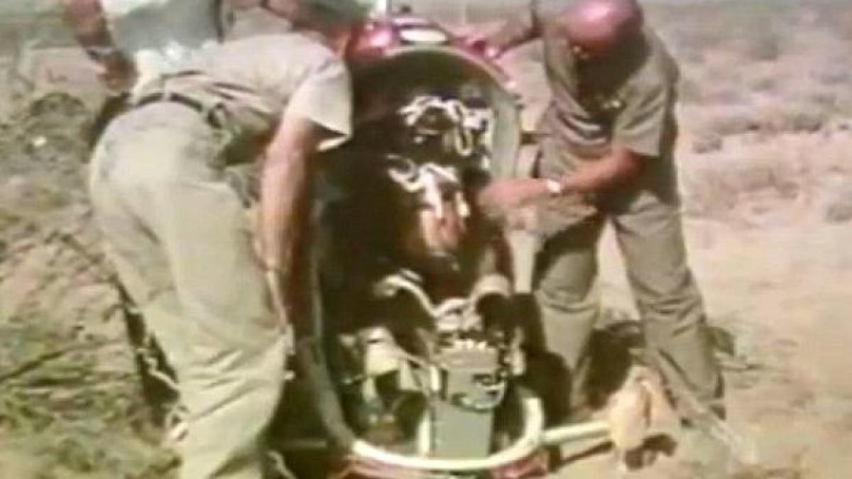 Americanii au drogat urşi care să testeze sistemele de catapultare ale bombardierelor (VIDEO)