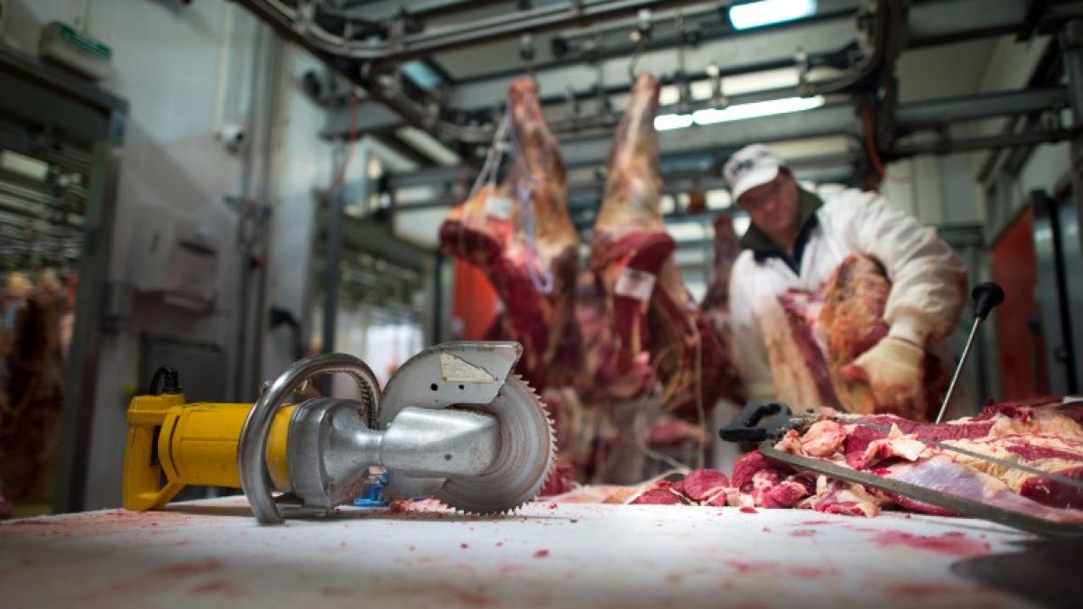 Contractele de dumping, coşmarul muncitorilor români din Europa! Trista experienţă a unei românce în Germania devine emblematică pentru mulţi conaţionali