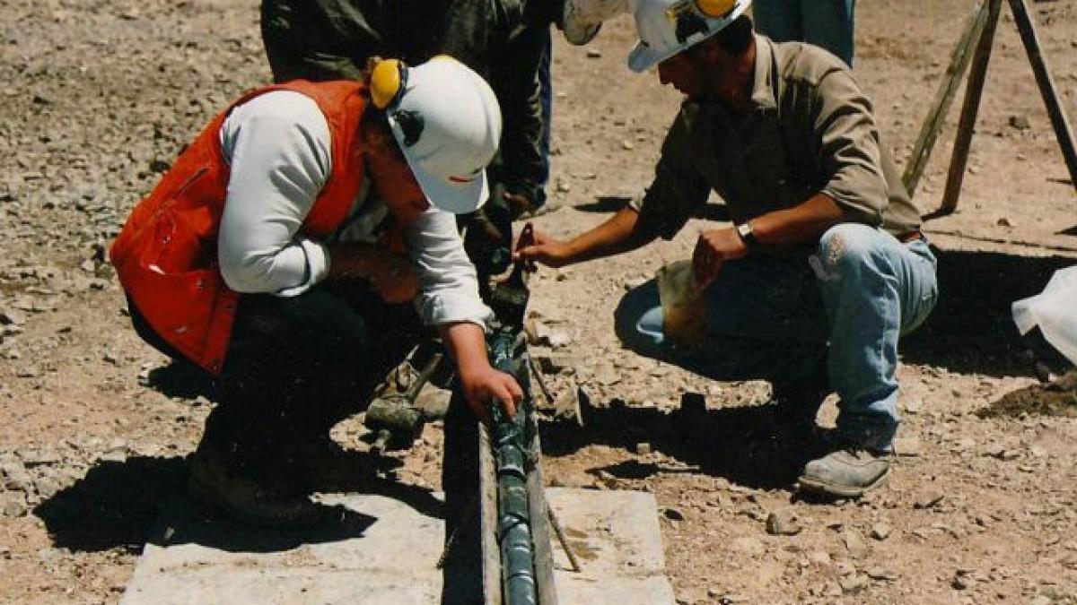 Compania românească Prospecţiuni vrea să atragă cei mai buni studenţi din Serbia, Senegal sau Maroc