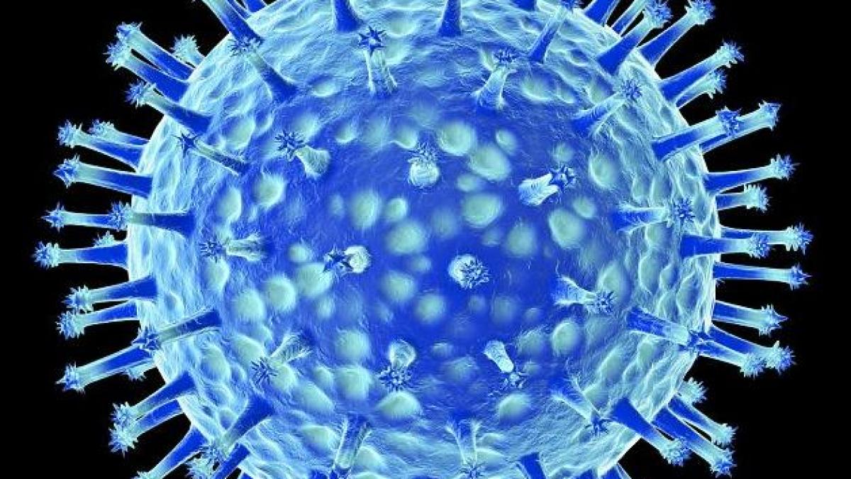 Controversatul EXPERIMENT pentru crearea unui VIRUS MUTANT al gripei aviare a fost reluat. Virusul poate UCIDE milioane de oameni