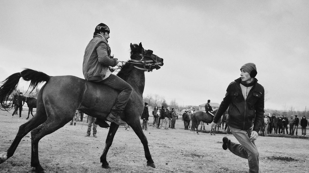 Fotografie de Jurnal. BOTEZUL CAILOR