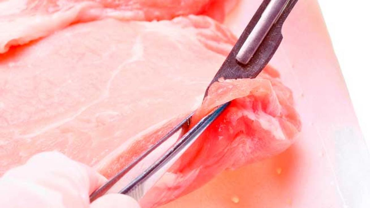 UE a introdus teste ADN pe alimentele din vită 