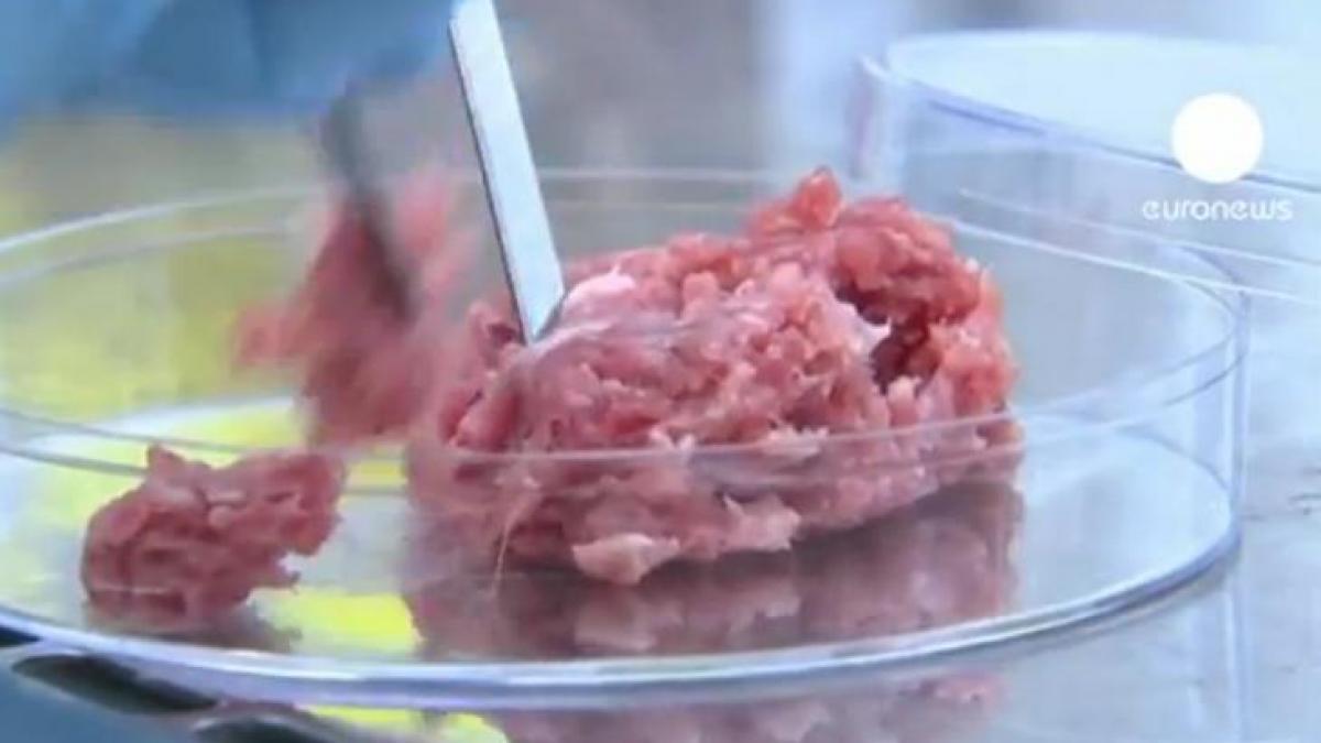  Scandalul cărnii de cal. Gigantul NESTLE a descoperit carne de cal în produse de vită. Tortellini şi ravioli, retrase de la vânzare în Spania şi Italia