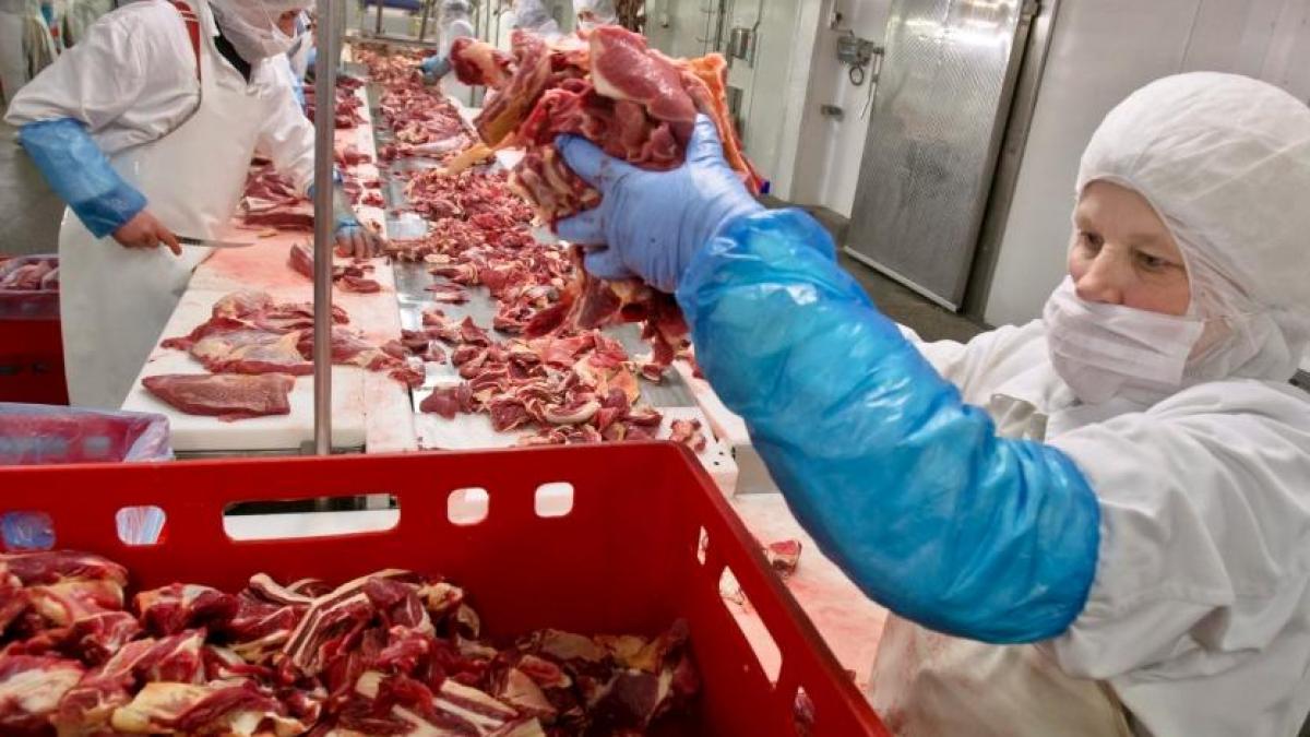 Mii de pachete de lasagna cu carne de cal, CONFISCATE în Portugalia