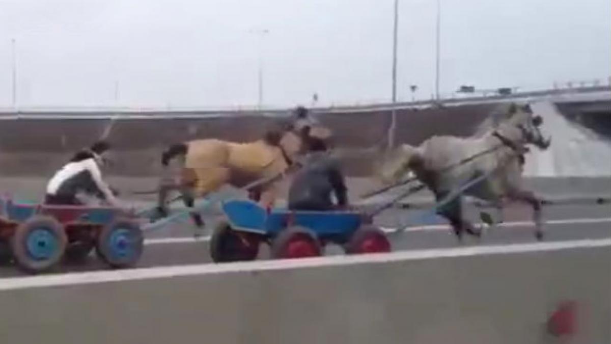 (VIDEO) Liniuţă între doi căruţaşi pe Autostrada Soarelui