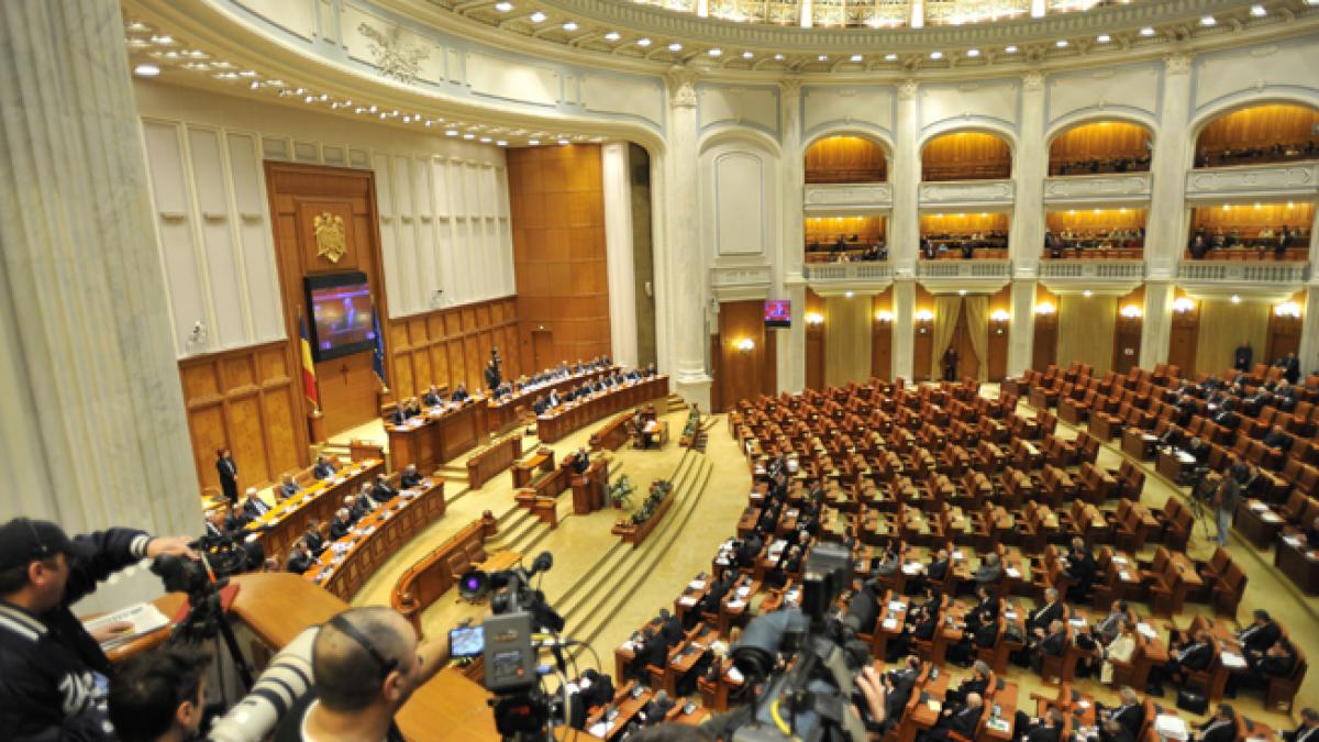 Plenul Parlamentului dezbate Statutul aleşilor