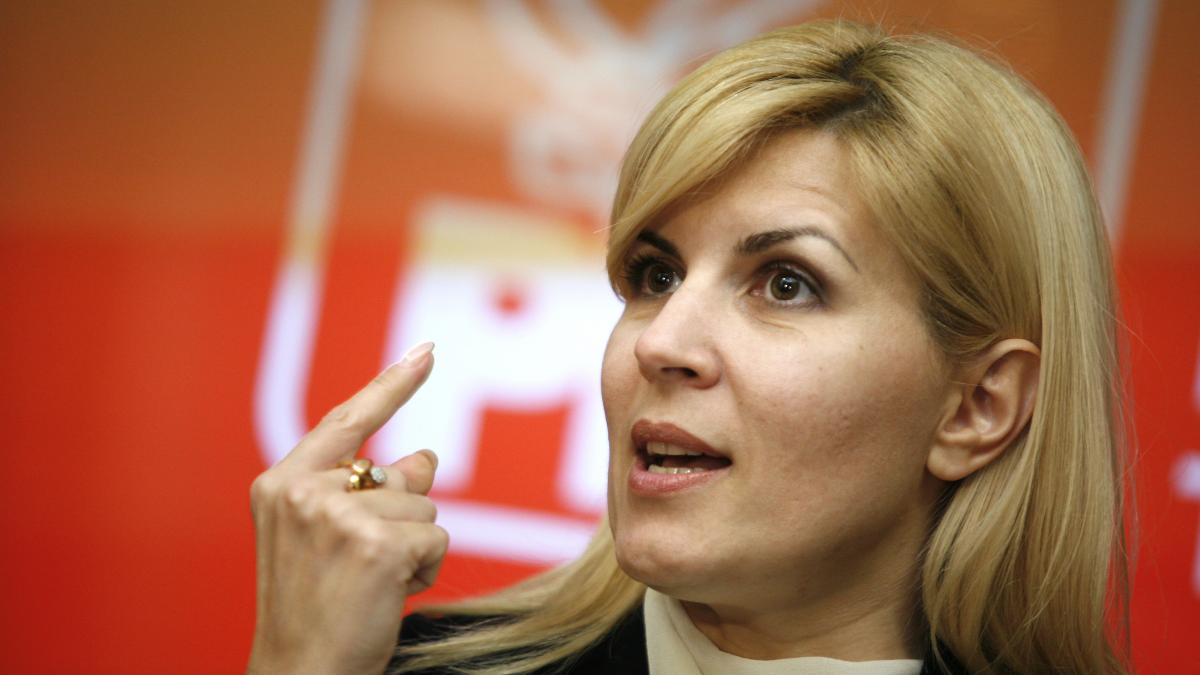 PDL stabileşte luni dacă renumără voturile, la cererea Elenei Udrea