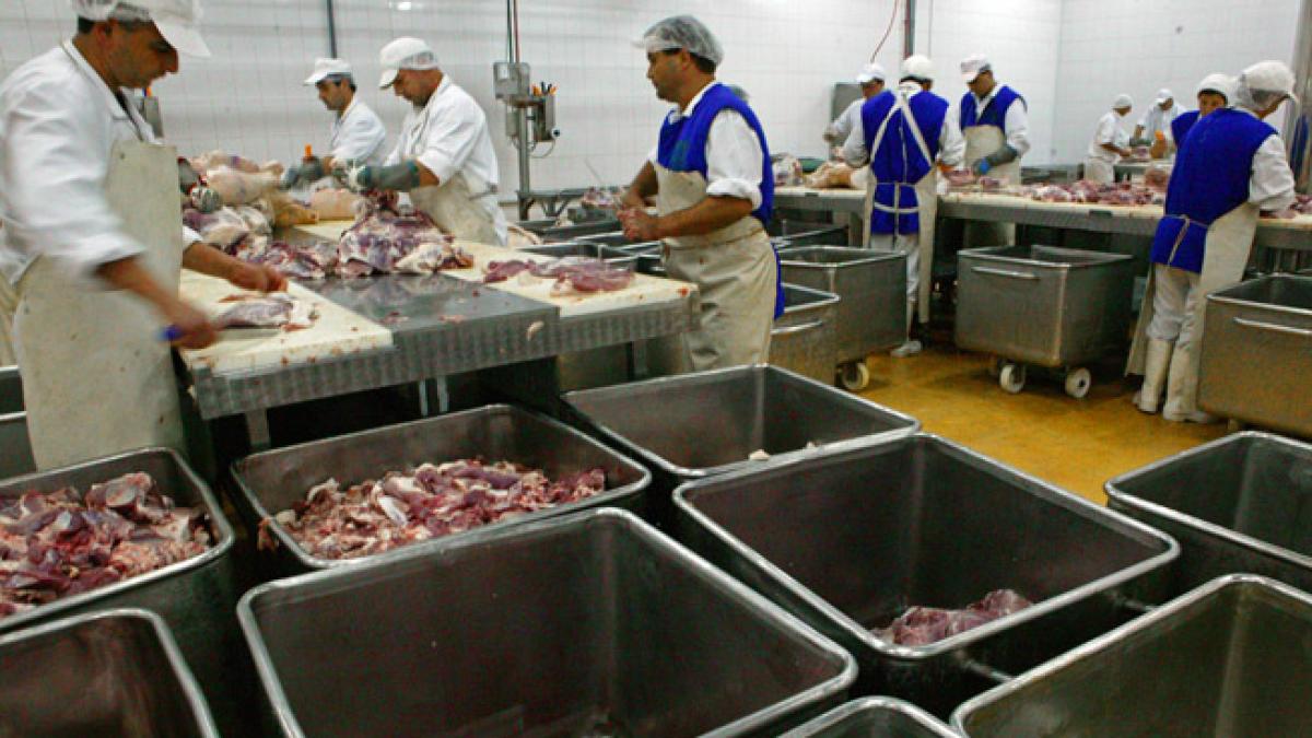ANSVSA are rezultatele analizelor de stabilirea ADN-ului de cal de la 100 de producători