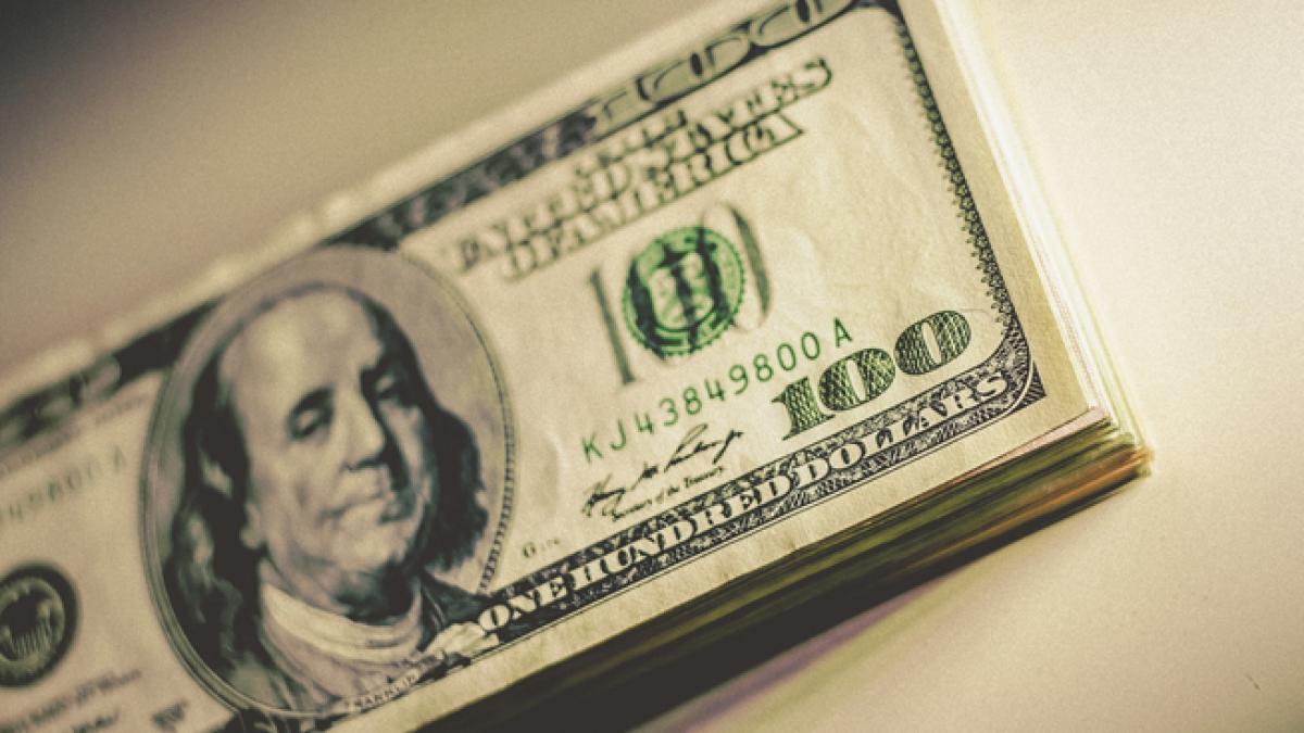 Gustarea de 500 $ a unui câine