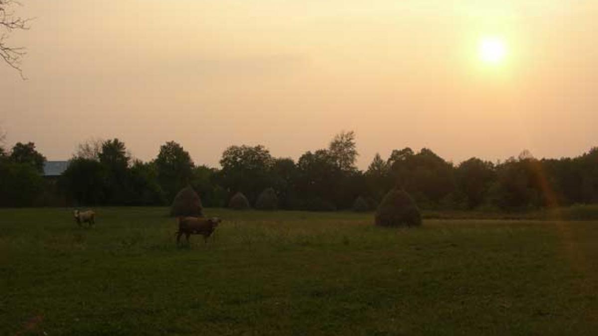 Abia acum