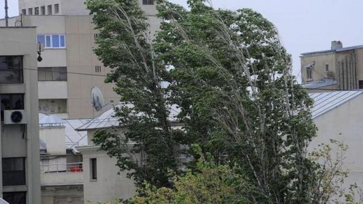 COD GALBEN de vânt puternic în nouă judeţe