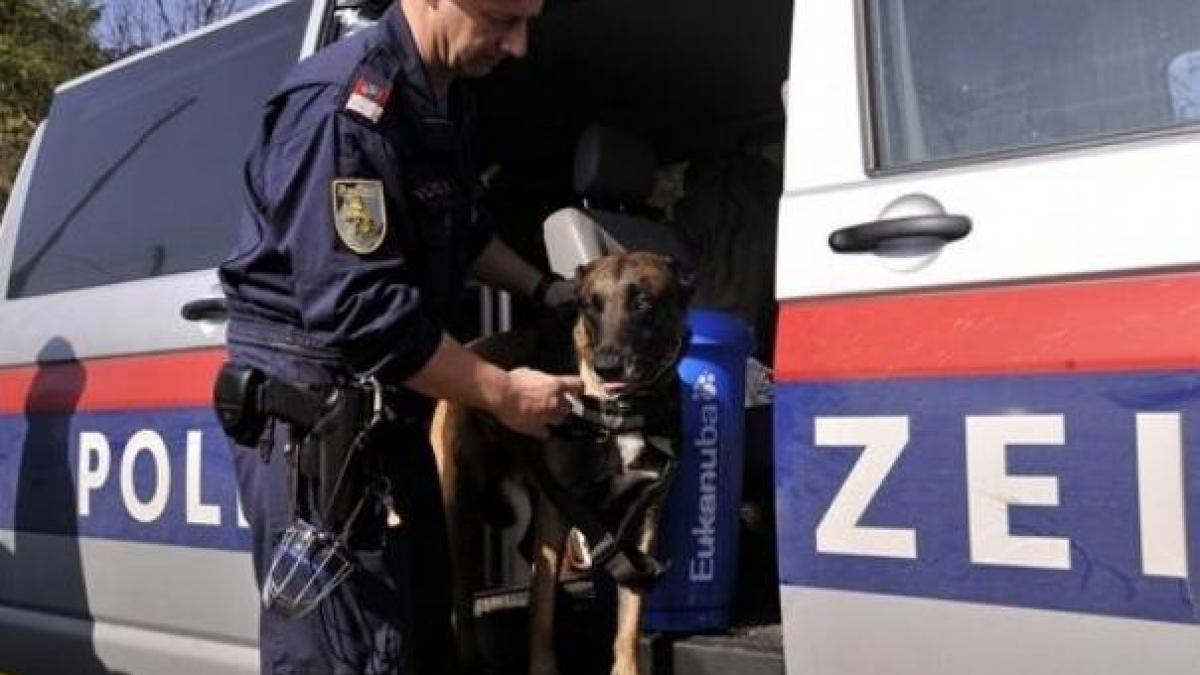 Români radioactivi, la graniţa cu Austria! Ce au descoperit poliţiştii în timpul unui control de rutină