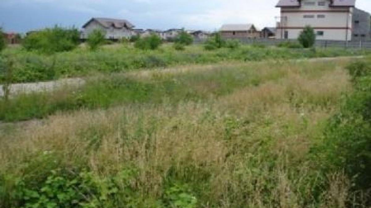 Bucureştenii, amendaţi cu până la 5.000 de lei dacă nu plantează iarbă pe terenurile pe care le deţin