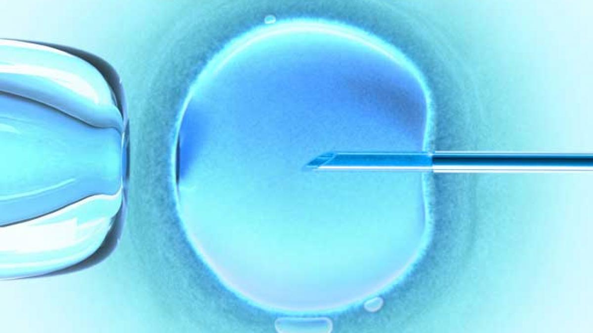 Poveştile triste ale crizei. Spania, o nouă destinaţie medicală, pentru fertilizările in vitro