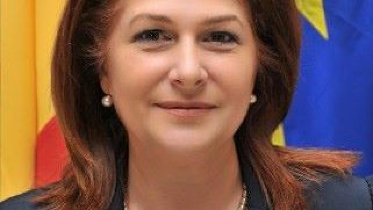 Ministerul Mediului va organiza dezbateri publice pentru a analiza avantajele şi riscurile exploatării gazelor de şist