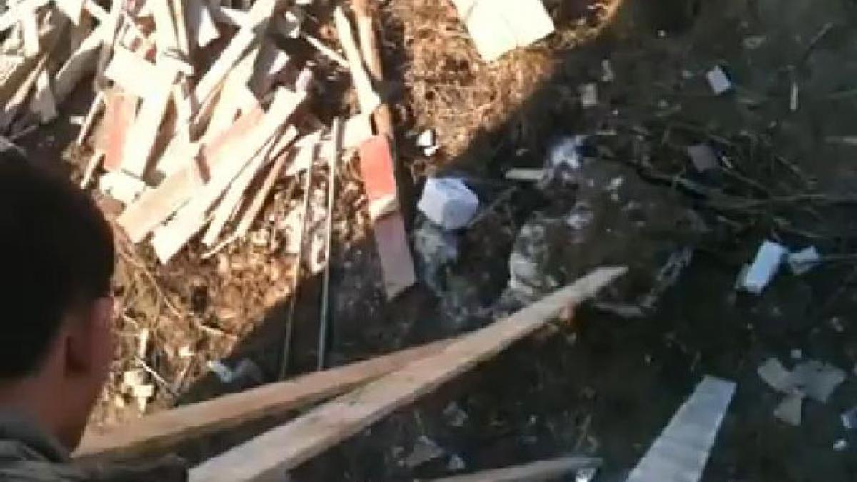 Gorj: VIDEO: Cum maltratează doi tineri un câine