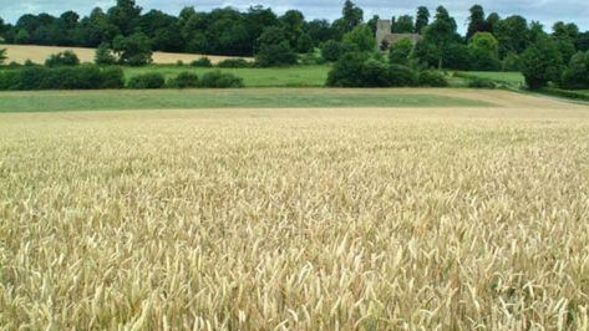UNPR cere prelungirea cu trei ani a interdicţiei de vânzare a terenurilor agricole către străinii nerezidenţi