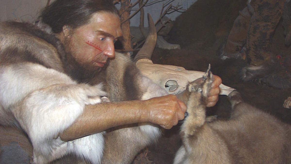 Fosila unui om de Neanderthal arată că acesta suferea de cancer