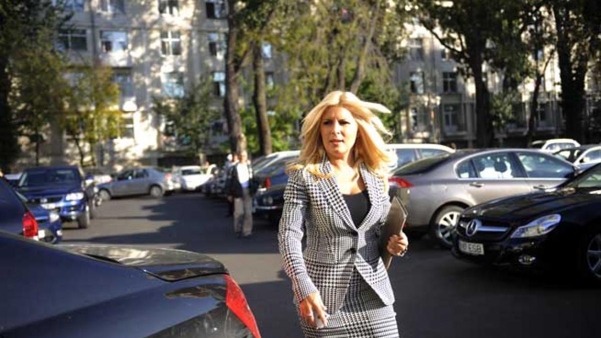 Elena Udrea şi Dorin Cocoş au divorţat! Care este motivul