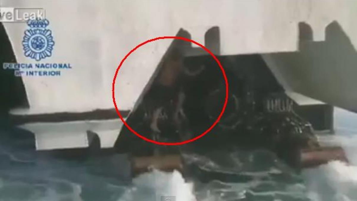 cata minte iti trebuie unde i a dat prin cap unui imigrant sa se ascunda video