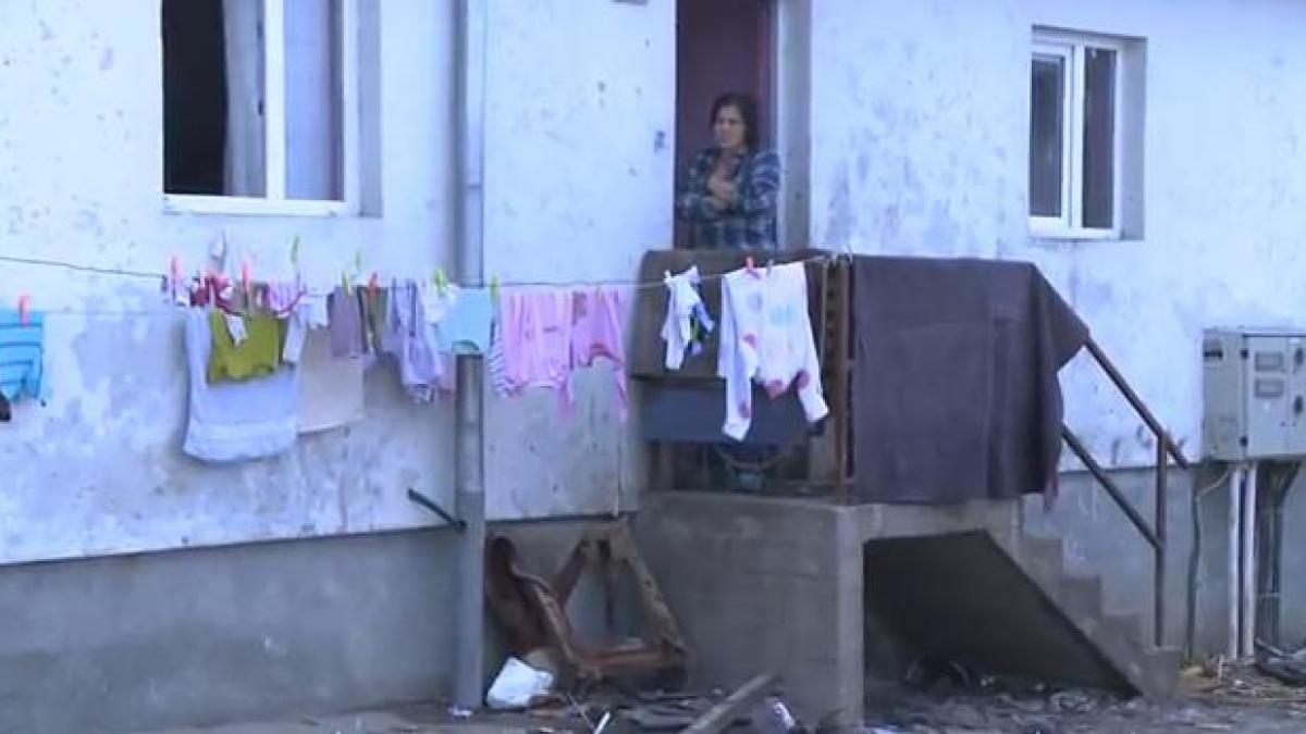 casa din carti de joc inaugurata la universitate