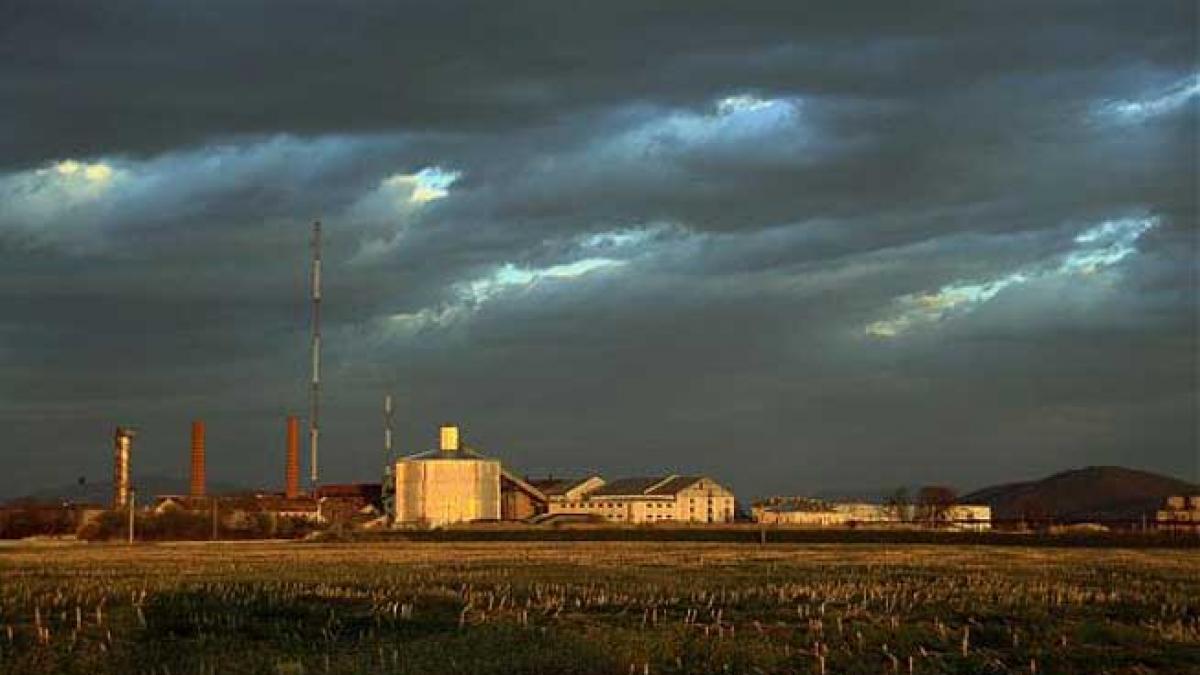 (P) Cine falimentează industria zahărului din România?