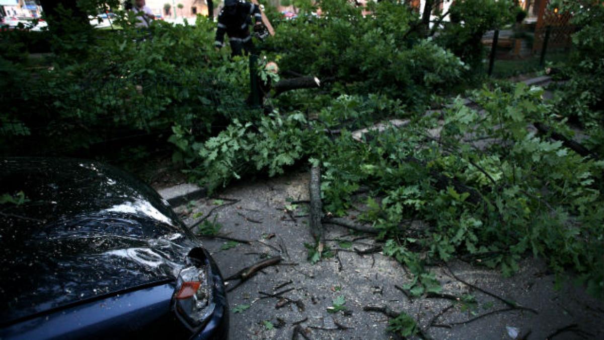 Un zid a căzut peste cinci garaje, iar o casă a luat foc de la un fulger în timpul unei furtuni din Arad