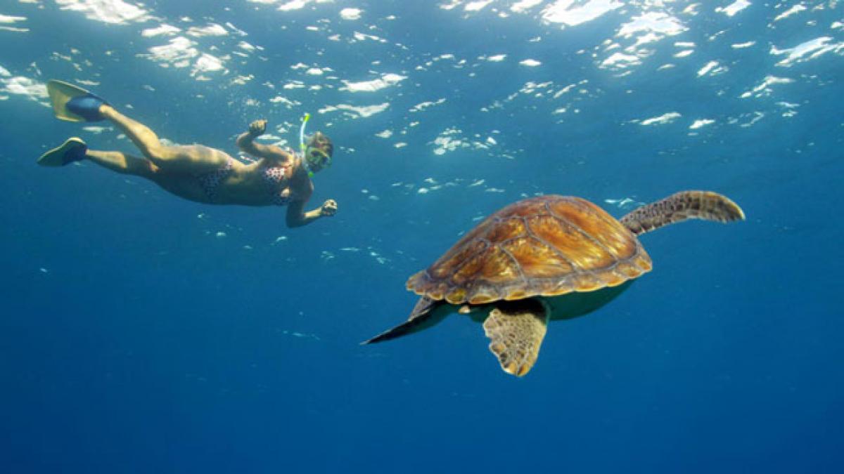 Plajele secrete din Tenerife