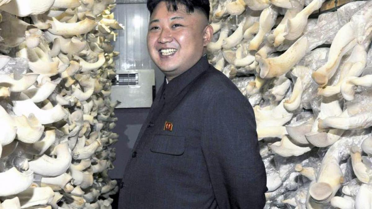 Kim Jong-un, dispus să dialogheze cu presa occidentală. Ce sumă cere liderul nord-coreean pentru un interviu 