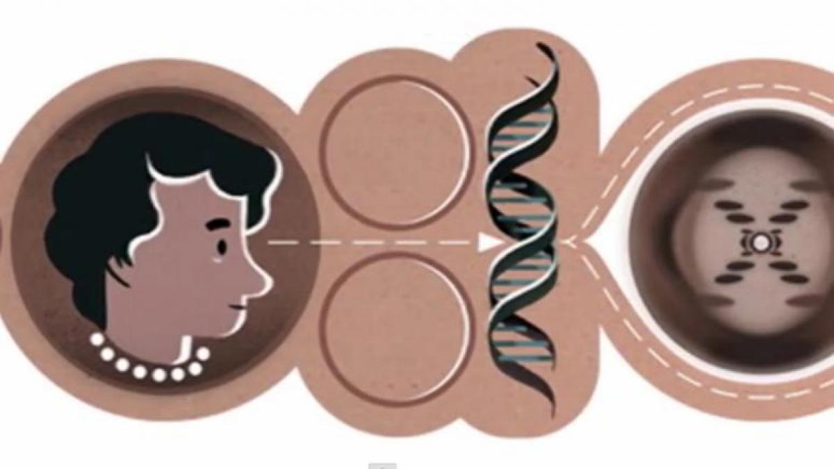 Cercetătoarea ROSALIND FRANKLIN, care a contribuit la descoperirea ADN-ului, sărbătorită de GOOGLE printr-un logo special (VIDEO)